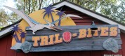 Trilo-Bites-DinoLand-Animal-Kingdom-1-17