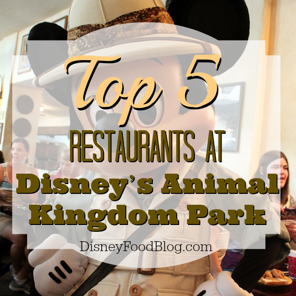 Top 5 Restaurants at Disney’s Animal Kingdom Park | the disney food blog