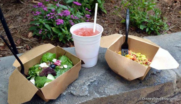 Farmers Salad, Cucumber-Mint Pomegranate Lemonade, and Trek Salad