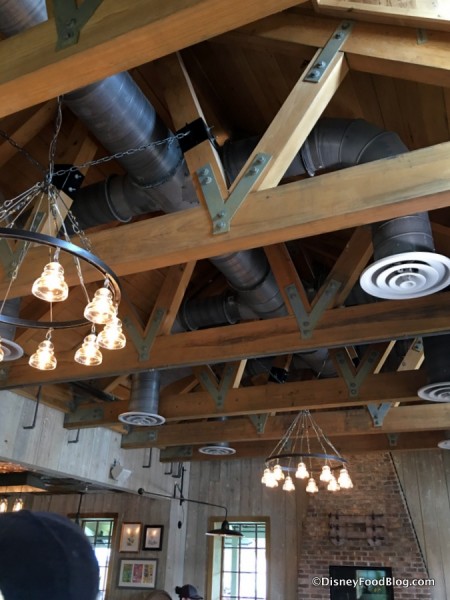 Ceiling and Lighting Fixtures