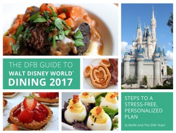 2017-dfb-guide-cover-mockups-r2-003