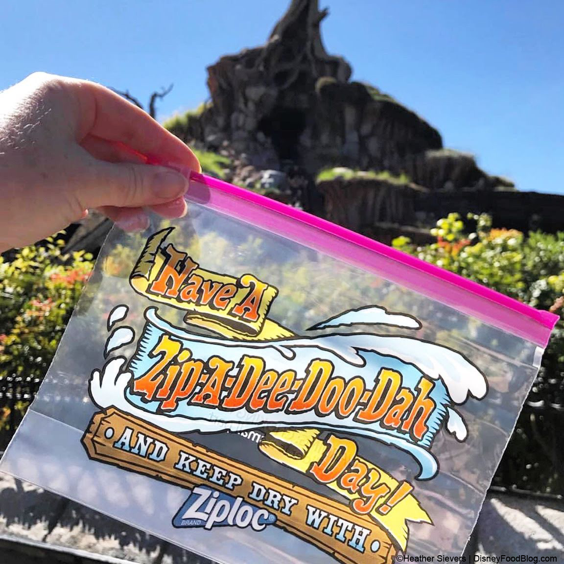 News: Disney Branded Ziploc Bags Distributed at Splash Mountain in Disney  World and Disneyland