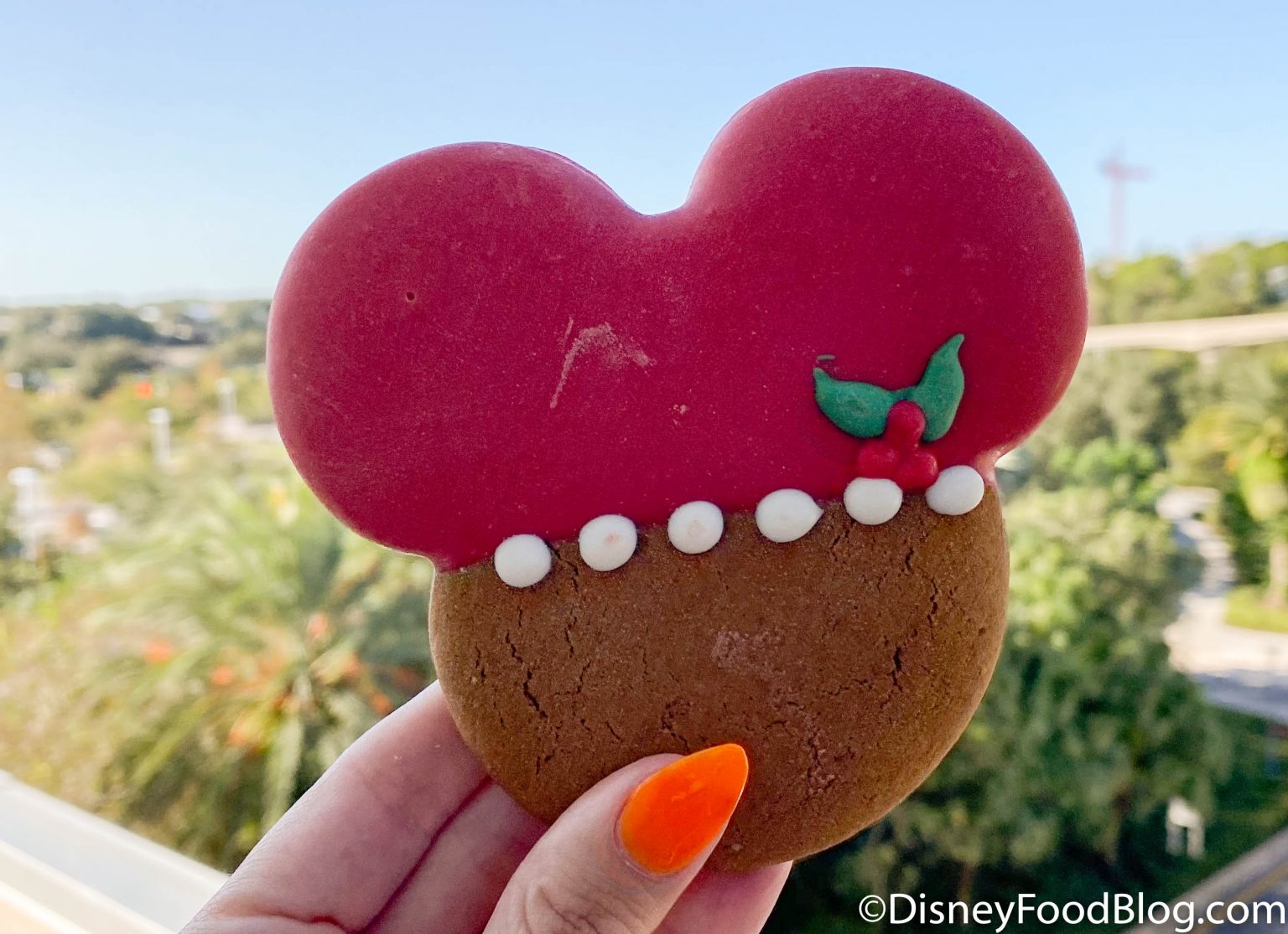 Where To Find Mickey Mouse Gingerbread Man Cookies In Disney World And