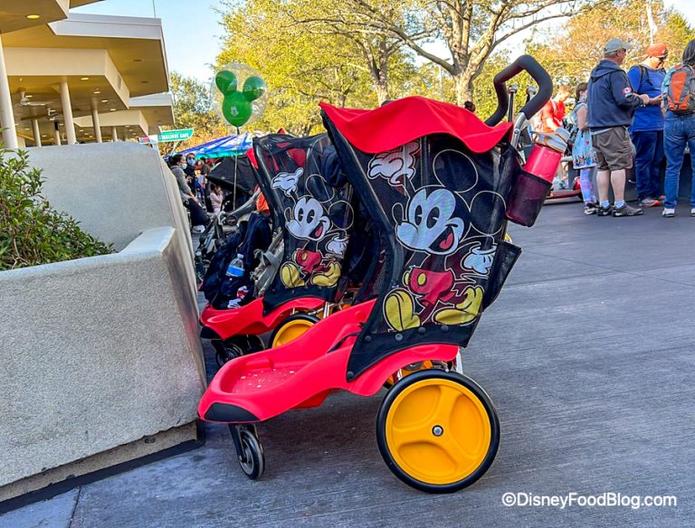 Everything You Need To Know About Stroller Rentals In Disney World