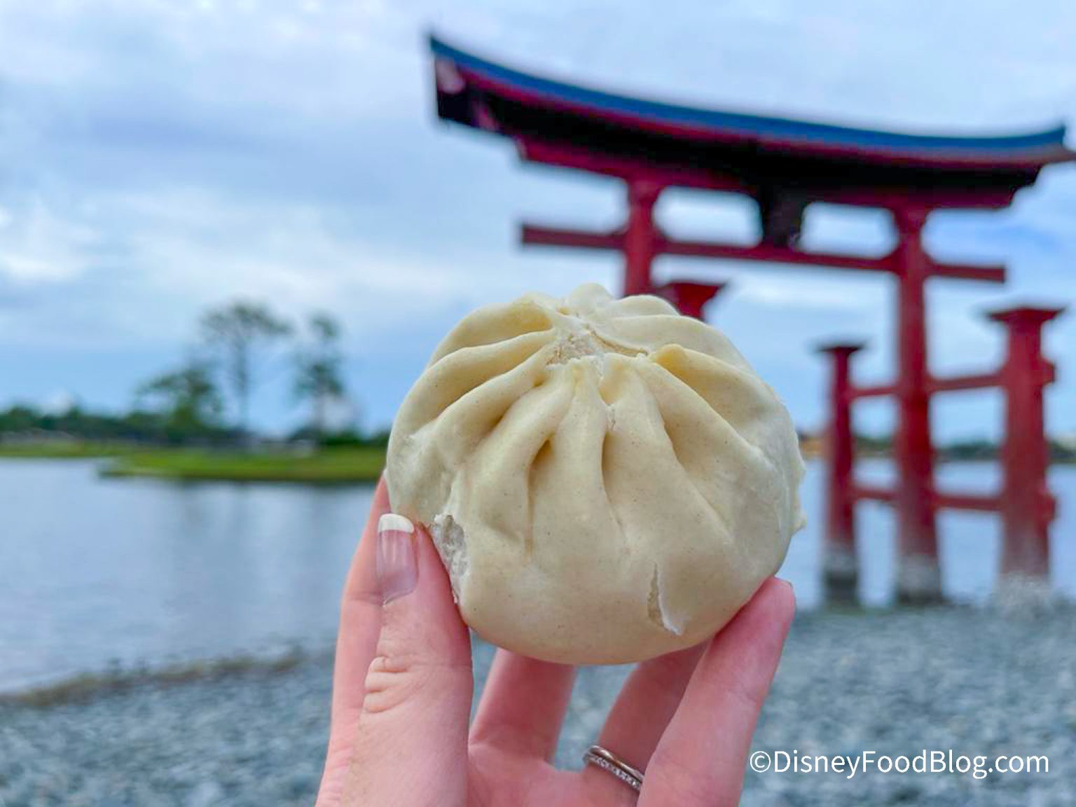 Everything You Need To Eat And Drink At The Epcot Food And Wine