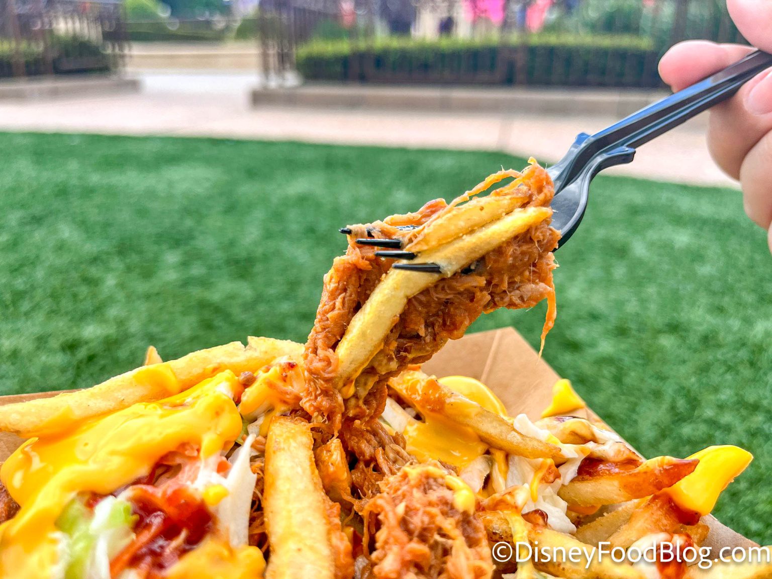 Miss Disney World S Pulled Pork Cheese Fries You NEED This Magic