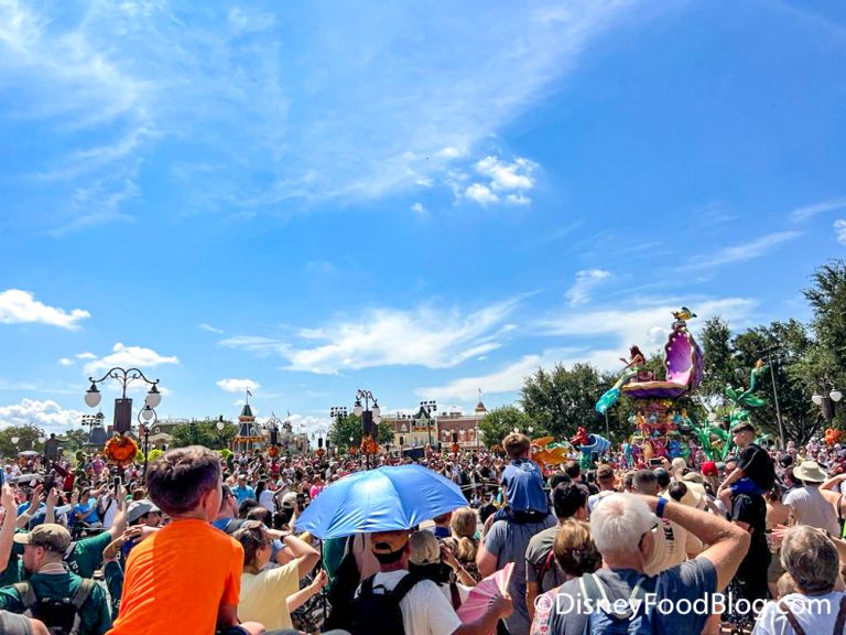 Heres What The Crowds Looked Like When Half Of Magic Kingdom Was