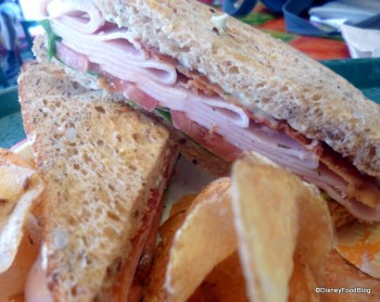 4 Great Counter-Service Turkey Options in Walt Disney World | the ...