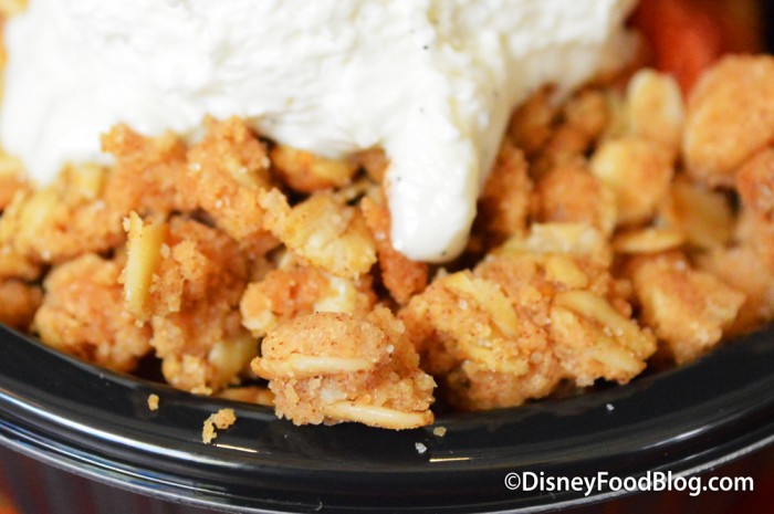 Apple Crisp Oat Topping