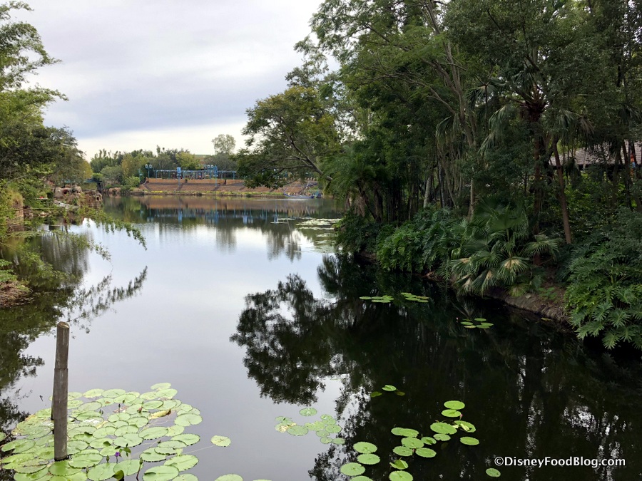 Animal Kingdom Construction Update: New Places to Enjoy the Views at ...