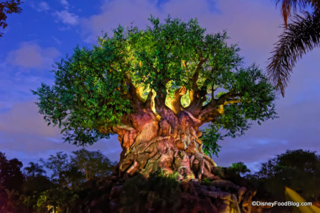 MENU Updates in Disney's Animal Kingdom! | the disney food blog