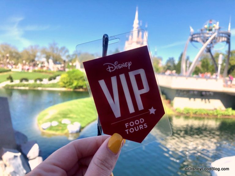 FULL REVIEW! NEW Taste of Magic Kingdom Park VIP Food Tour! So… What ...