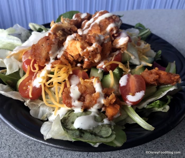 Review and Photos: New Menu at Tomorrowland Terrace in Disney World's ...