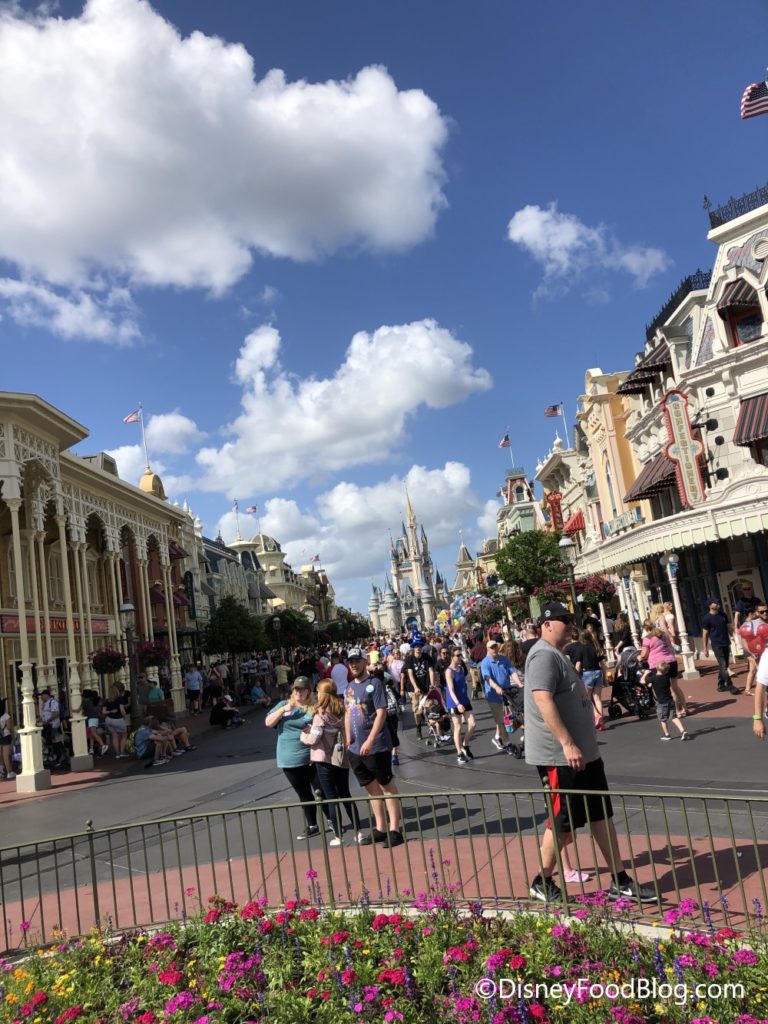 What's New in the Magic Kingdom: NEW Snacks, Lots of NEW Merchandise ...