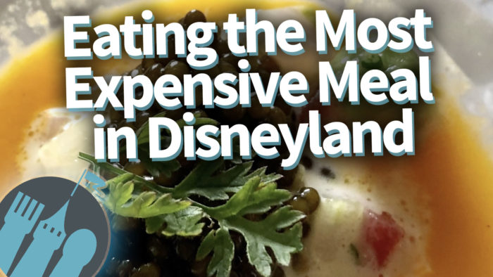 dfb-video-eating-the-most-expensive-meal-in-disneyland-the-disney