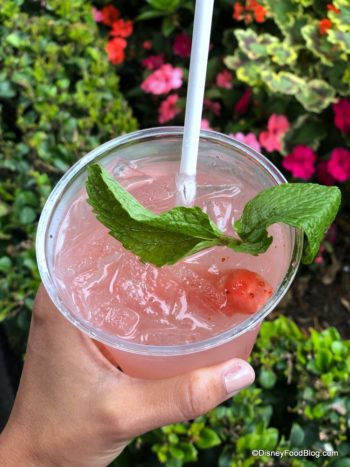 New! Watermelon Julep Arrives at Disneyland's Mint Julep Bar | the ...