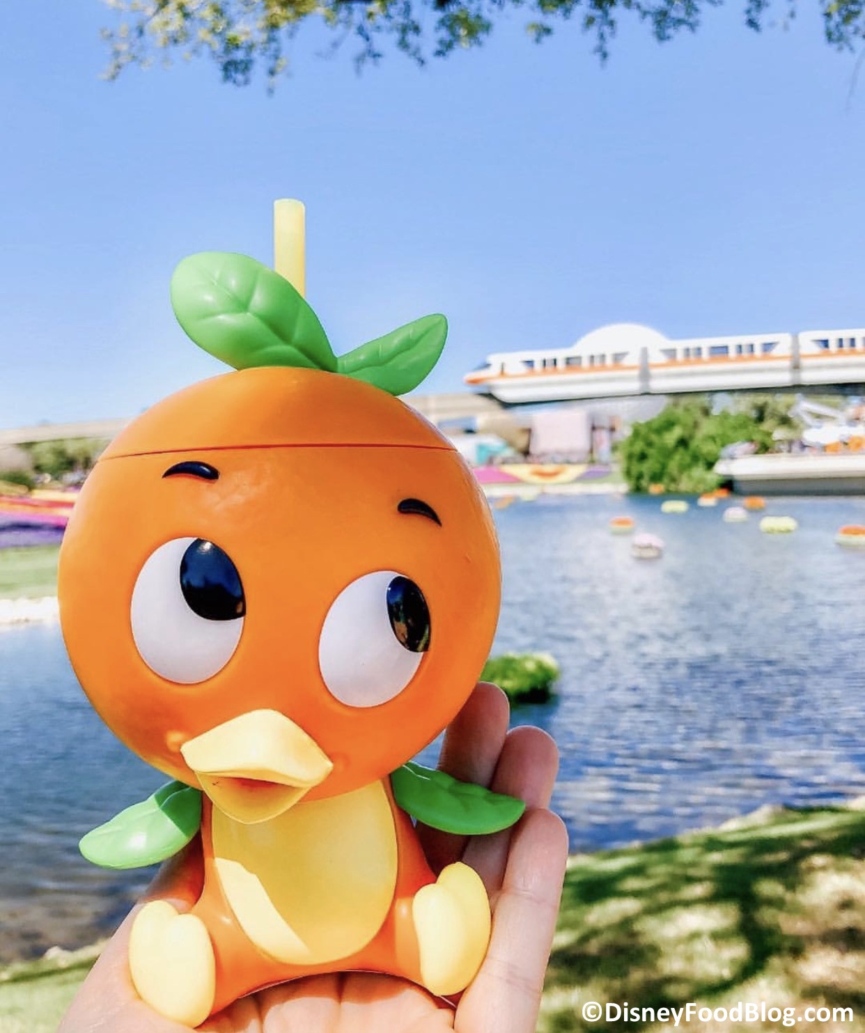 Disney EPCOT Orange Bird Corkcicle 16oz Tumbler Flower and Garden Fest –  Shop Theme Parks