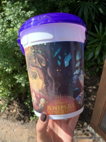 Refillable Popcorn Buckets in Walt Disney World | the disney food blog