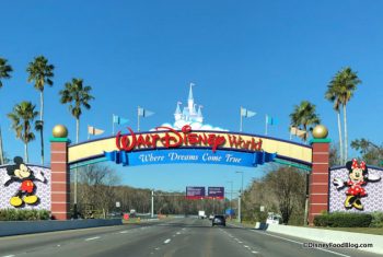 Will Disney World Reopen to Florida Residents First? Here's What We ...