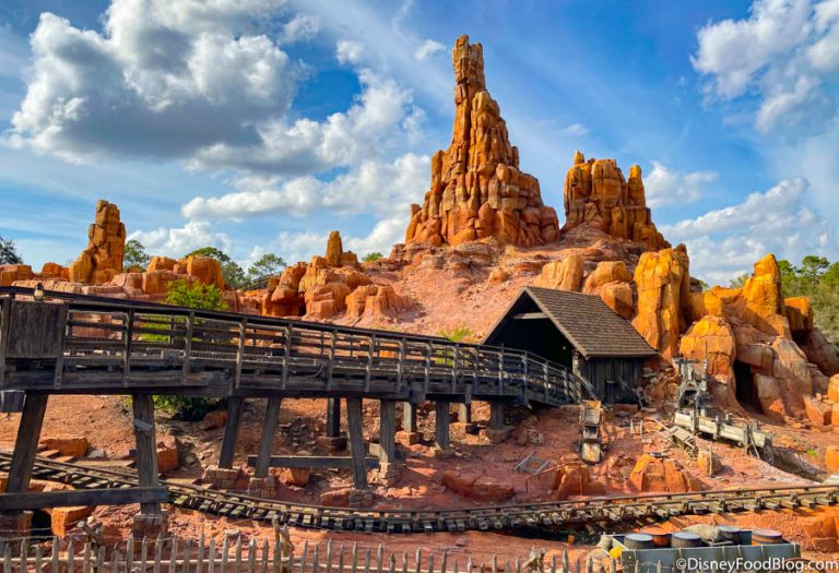 There's a LINE to Get the NEW Big Thunder Mountain Minnie Mouse: The ...