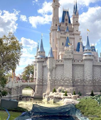 What's New in the Magic Kingdom: 26 NEW Mugs, Work Begins Around ...