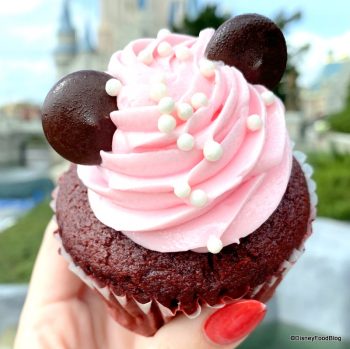 Review! A Classic Disney World Cupcake With a New Seasonal Look | the ...