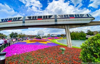 NEWS: The EPCOT Monorail Line Gets a Reopening DATE in Disney World ...