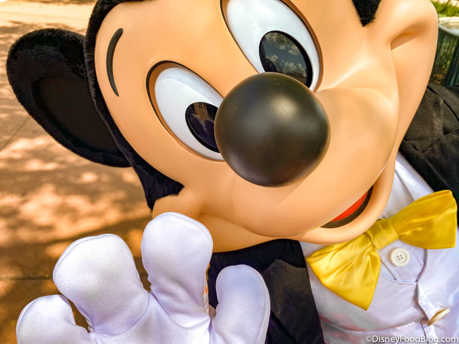How Meeting Mickey Mouse at Disney World is COMPLETELY Different Than It  Used To Be! | the disney food blog