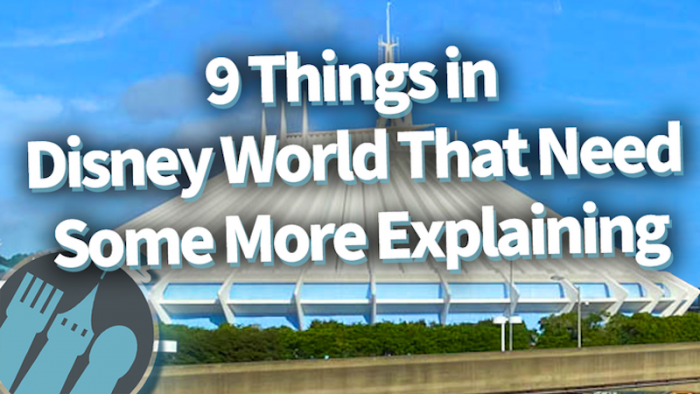 DFB Video: 9 Things In Disney World That Need Some Explaining! | The ...