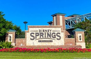 PHOTOS and TIPS: Our FULL Experience From Reopening Day at Disney ...