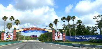 Here's How To Contact Disney World When Phone Lines Are Crazy Busy ...