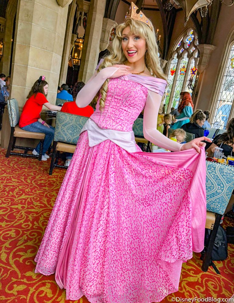 ALERT Cinderella’s Royal Table Sees Another BIG Character Meet and