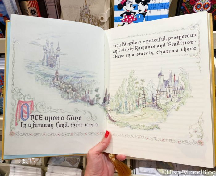 New Disney Merch Alert: Check Out These Adorable Replica Journals - Inside  the Magic