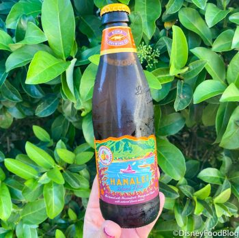 Did You Know You Can Grab A POG Juice BEER Outside of Disney World ...