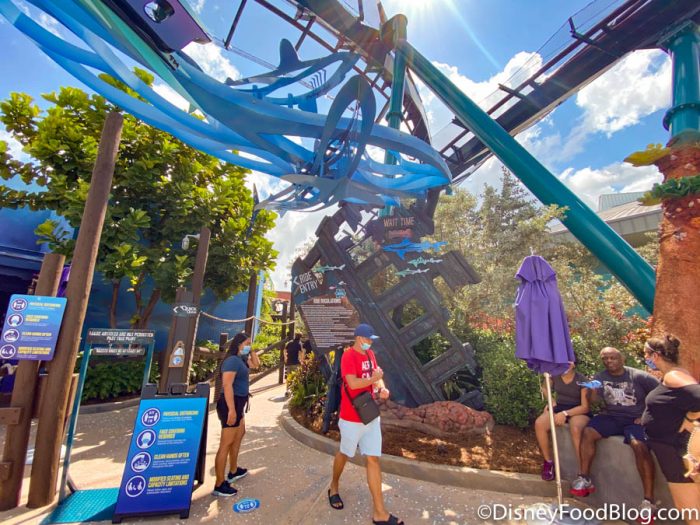 Mako at SeaWorld Orlando – Magical Getaway Blog