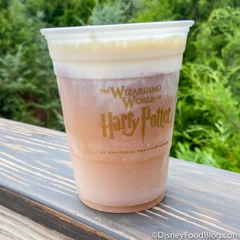 Harry Potter Fans! You NEED To Go to Universal Orlando Before April ...