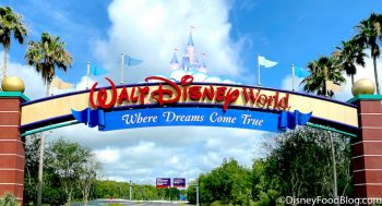 The 5 Biggest Changes Coming to Disney World in 2021! | the disney food ...