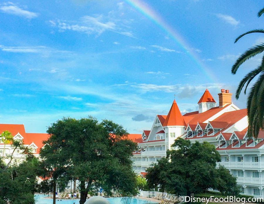 Meet the Disney Adults, including one who's visited the Florida resort 43  times
