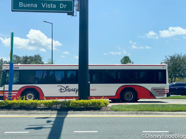 is there a direct bus from the magic kingdom to disney springs