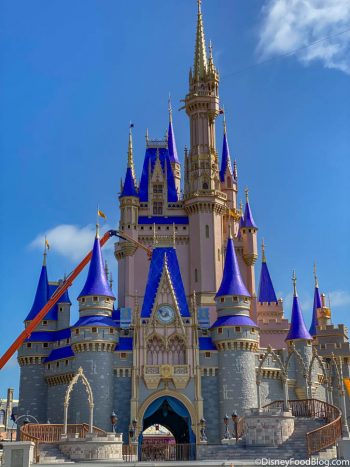 PHOTOS! Here's Disney World's PINK CASTLE for the First Time!!! | the ...