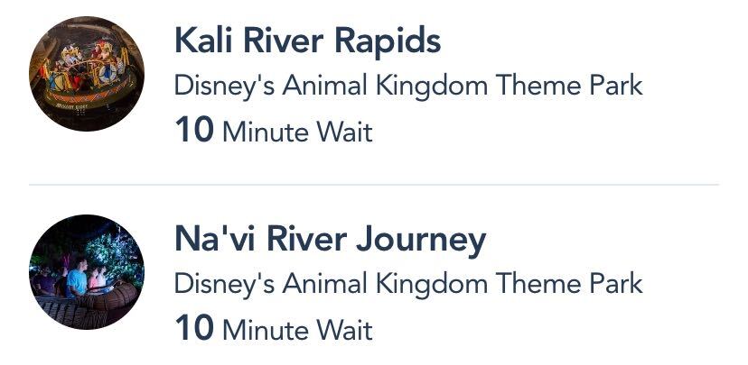 Animal Kingdom Reopening Day Wait Times in Disney World! | the disney