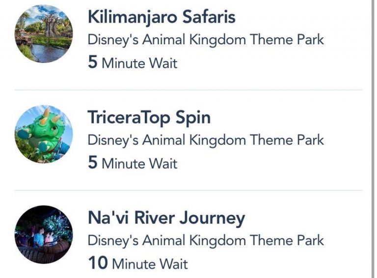 Animal Kingdom Reopening Day Wait Times in Disney World! | the disney