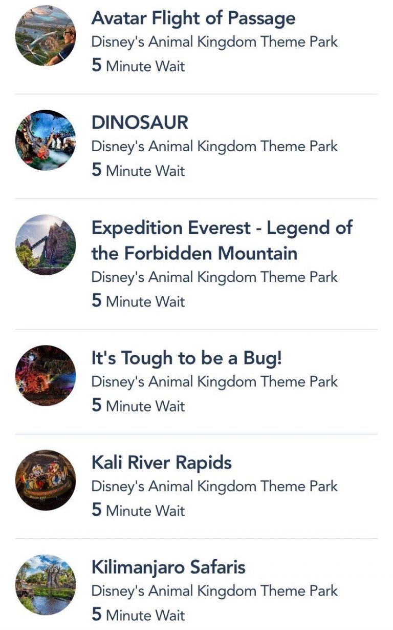 Animal Kingdom Reopening Day Wait Times in Disney World! | the disney