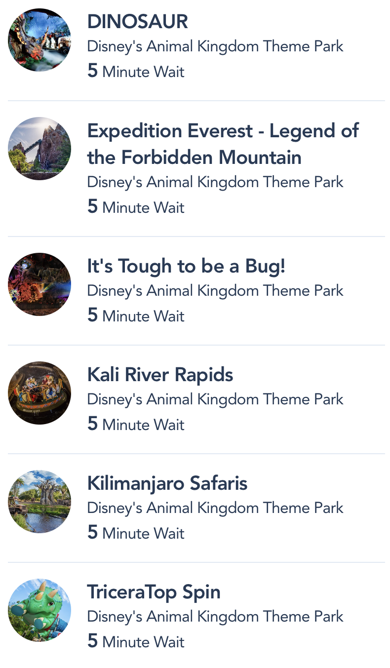 Animal Kingdom Reopening Day Wait Times in Disney World! | the disney