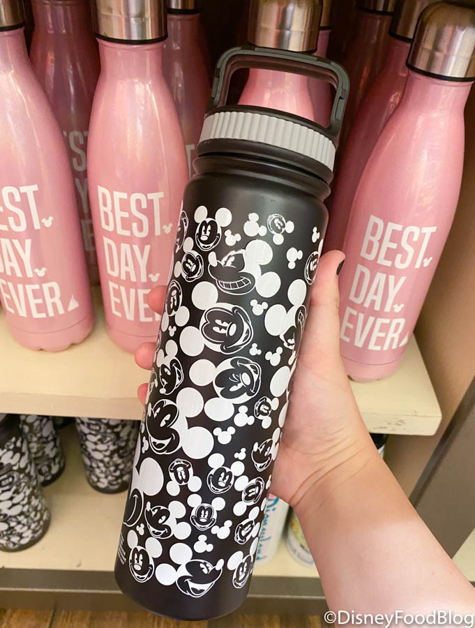 The Most Popular Water Bottles on  for Hot Disney World Days