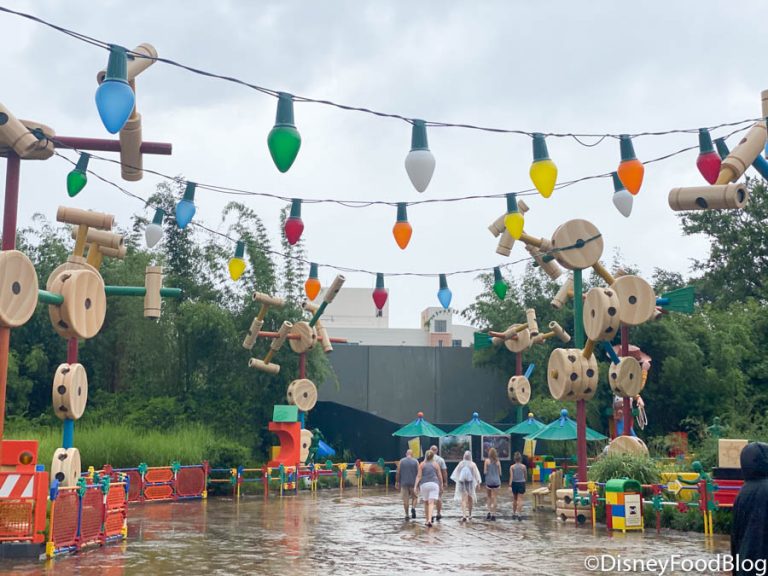 How To Socially Distance in a Disney World Downpour! | the disney food blog