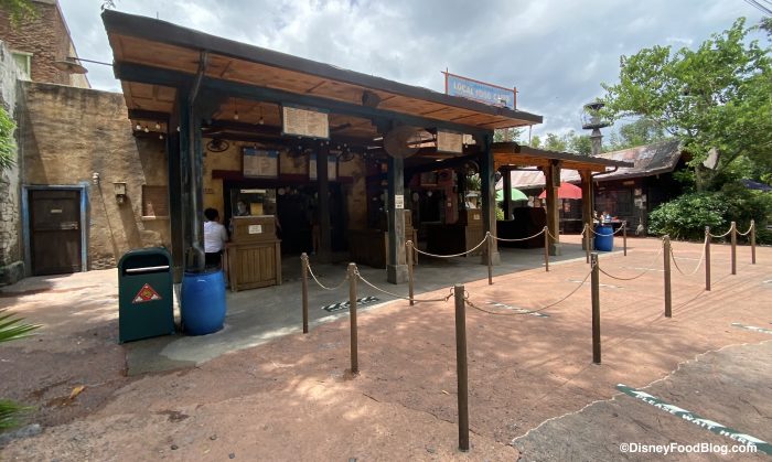 What’s New at Disney’s Animal Kingdom: Pumpkin Spice Coffee, New Mugs, and Updated Menus! 