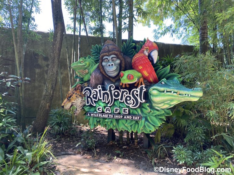 Review! Is Rainforest Cafe in Disney World's Animal Kingdom a ROAR or a ...