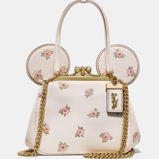 Buy Coach COACH Disney X Coach North South Mini Tote With Minnie Mouse  Electric Red Multi CN022 2024 Online | ZALORA Philippines