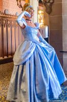 Review: Is Cinderella's Royal Table in Magic Kingdom Still Worth the ...